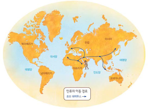 [세계사 한바퀴] 현재 인류의 조상 ‘호모 사피엔스 사피엔스’ 