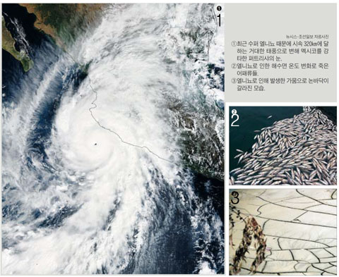 적도 부근 태평양의 해수면 온도가 평년보다 높은 엘니뇨 현상… 홍수·폭설·가뭄 불러오는 '기상계의 문제아'